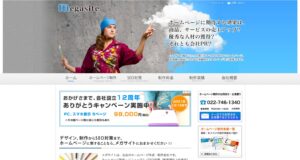 株式会社メガサイト