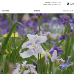 株式会社アクトビジョン