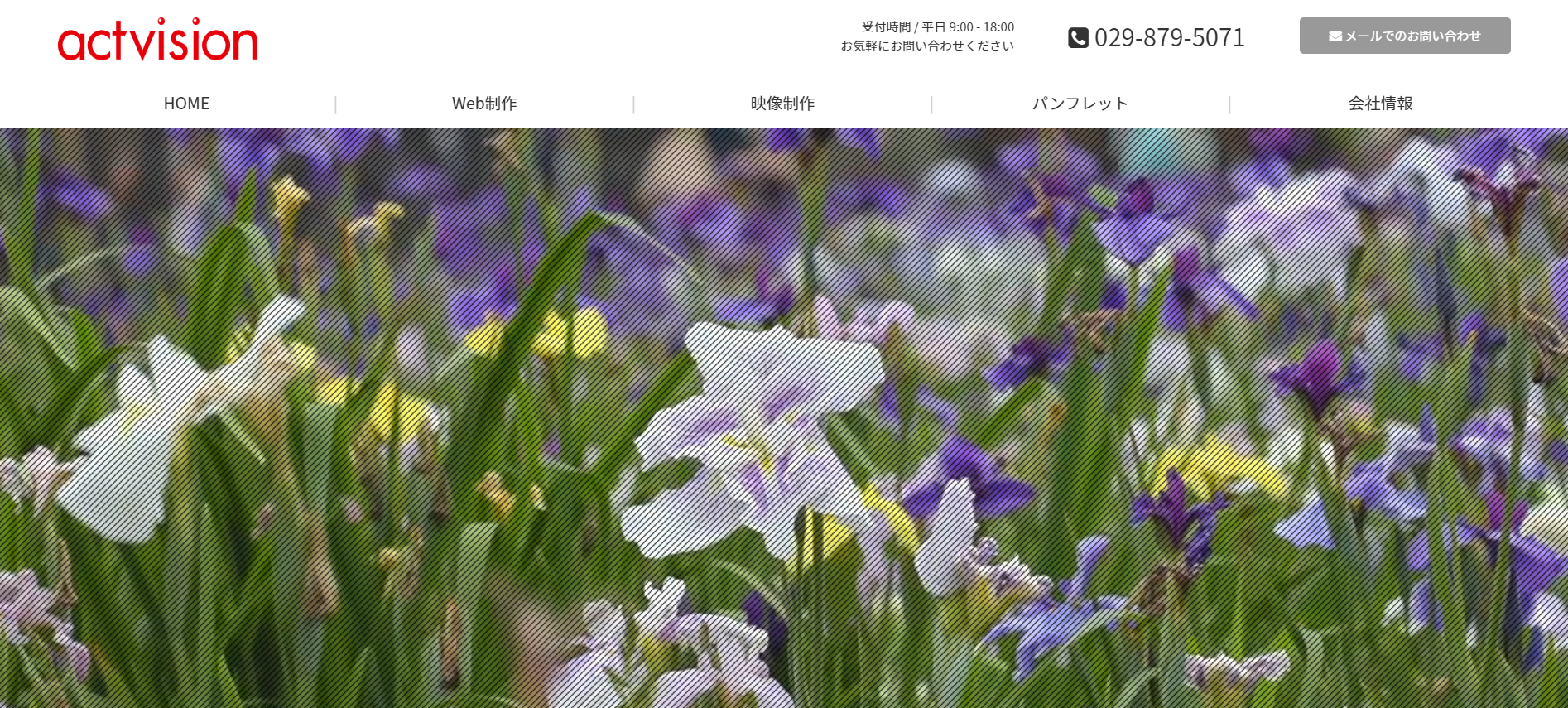 株式会社アクトビジョン