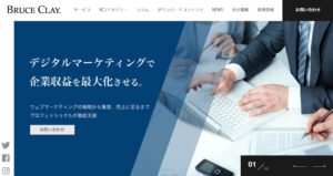 ブルースクレイ・ジャパン株式会社