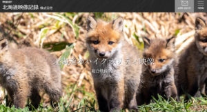北海道映像記録株式会社