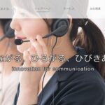 株式会社日本テレシステム